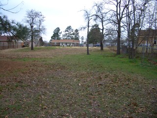 Main Photo